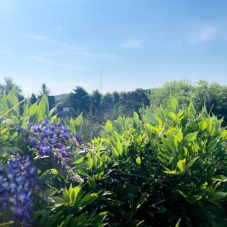 Charming 1930s Appartement