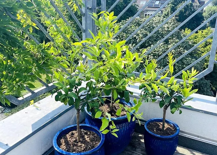 Appartement Charming 1930s Kleef